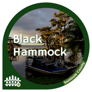 Black Hammock