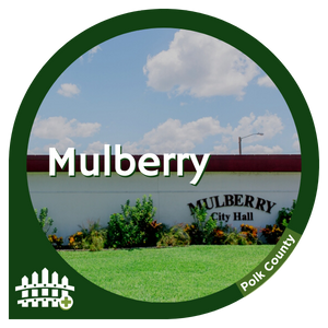 Mulberry, FL